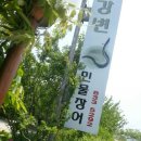 임진강민물장어 이미지