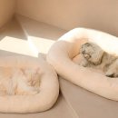 디자인두잇 이미지