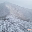 허영근약국 이미지