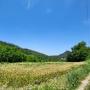 부동축사 이미지