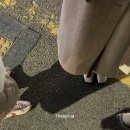 해성장식 이미지