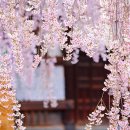 시흥대로115길48 ~ 두산로60 전체 | 한국임업청이 선정한 전국 100대 명산