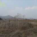 신산리-5 이미지