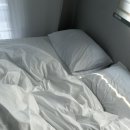 한스하우스 | 태안 바다 근처 숙소 “한스 하우스” 내돈내산 솔직 후기 🏡