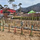 장수군산림조합
