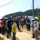 무봉산둘레길 이미지