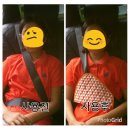 다올소잉
