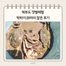 득량만 어촌체험 민박 | 제부도 갯벌체험 후기 푹 빠진 박하지 잡기! 무료 갯벌체험과 비교 솔직후기