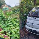 가로정비과 이미지