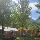 다리안민박 이미지