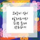 하나로동물병원 이미지