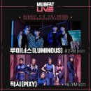 라이브빙고 이미지