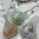 쏘롱이네