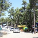 선재자동차야영장 이미지