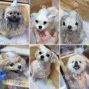 멍's살롱 이미지