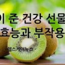 키위 효능 부작용 혈당 많이 올릴까? 그린키위 칼로리 이미지