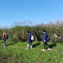 하늘공원 이미지