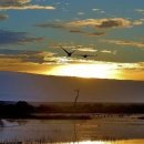 밝은마음 이미지