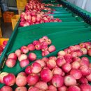 거창-고제-10 이미지