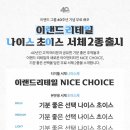 나이스개발