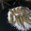 안면도쥬라기박물관 이미지