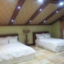 알펜옥비치 이미지