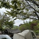 양주산막골캠핑장 | [양주 캠핑] 양주 산막골 캠핑장 비오는날 내돈내산 후기