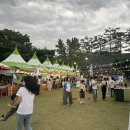 뮤직앤비어 | 2026뮤직앤비어 수성못맥주페스티벌 방문후기 길거리음식