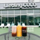 리블링코코 포토존이 있는 남양주 애견운동장 카페