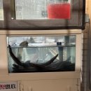 황새알로 | [연제 맛집] 정성이 가득한 숨겨진 찐 맛집 팔팔연제장어