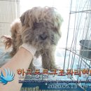 도신로 이미지