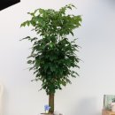 행정사 사무소 늘좋은 이미지