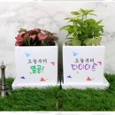 조아그린 이미지
