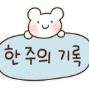 칠갑산숯불돼지갈비 네이버블로그