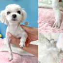 내장터미널 이미지