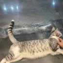 합정20통마을회관 | 𝒟𝒾𝒶𝓇𝓎 🤍