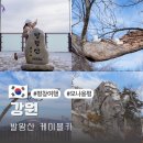 대인카프라자 | 평창 모나용평 발왕산 케이블카 시간 가격 여행 가볼만한곳