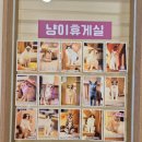 냥이 싸롱 이미지