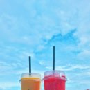 스카이 리버 | 태국 치앙마이 가족숙소 추천 아스트라스카이리버 수영장 후기