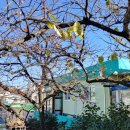 동경악바리식당 이미지