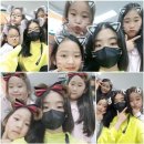 선태권도 이미지