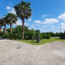 덕수리-4 이미지