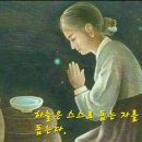 을사년 정월 초하루 축원 이미지