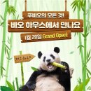 바오 이미지