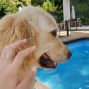 허그안리트릿 이미지