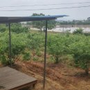 성내농장 이미지