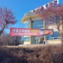 안동소주일품주