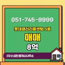 롯데공인중개사사무소 | 리더스공인중개사사무소 롯데갤러리움센텀 S동 매매 8억 추천