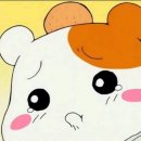 117 이미지
