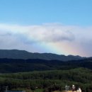 백두그린 이미지